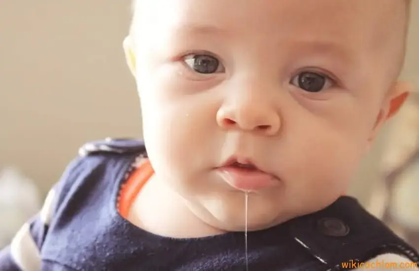 Em bé thèm thuồng meme