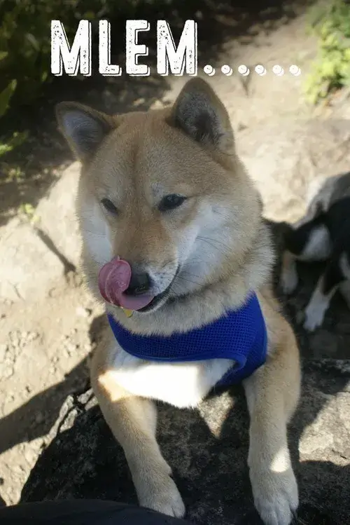 Meme mắt sáng rực thèm thuồng