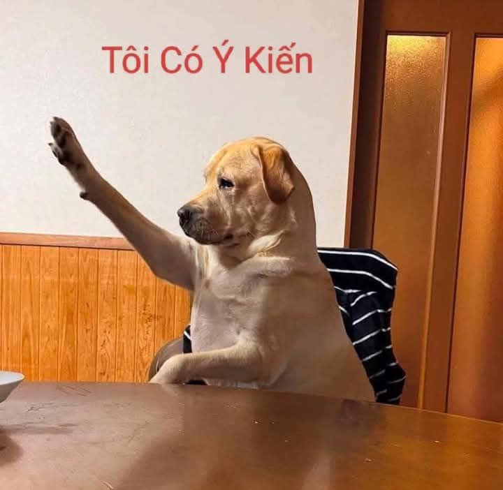 Chó ngồi ghế, giơ tay xin "tôi có ý kiến" – TVMeme