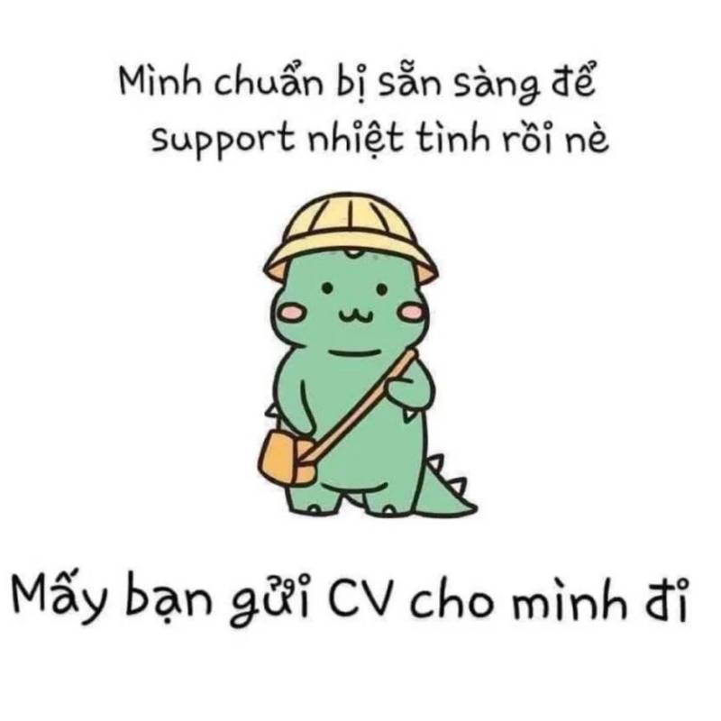 Meme gửi CV tuyển dụng