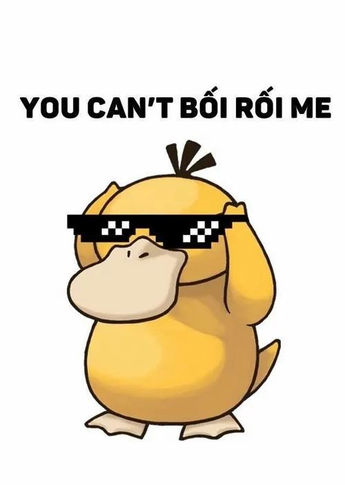 Vịt vàng lú