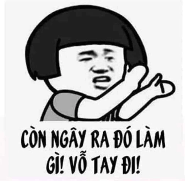 meme vỗ tay gấu trúc hài bựa