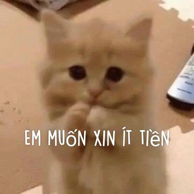 Story » Bộ ảnh Meme Xin Tiền và Cho Tiền hài đầy dí dỏm dành cho giới trẻ