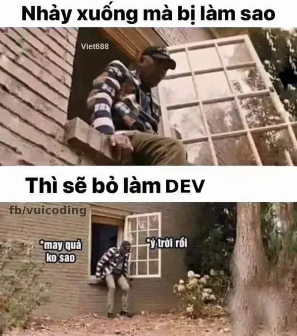 Meme ánh mắt ngao ngán