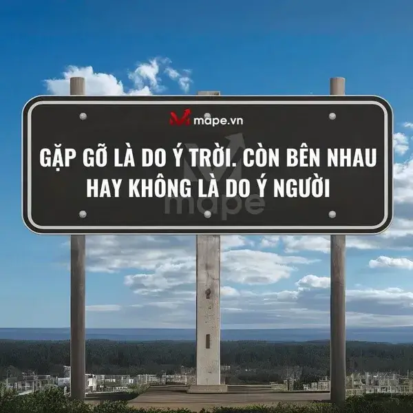 Meme lẽ đời khắt khe