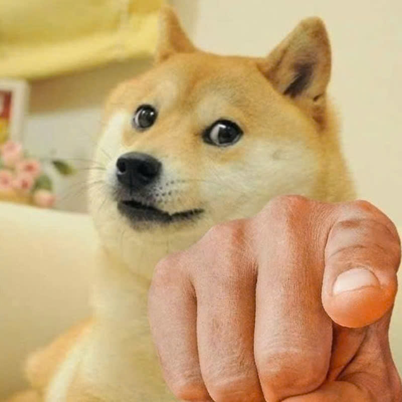 meme chó Shiba-19.jpg