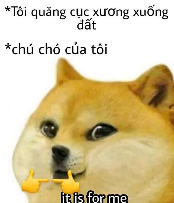 meme chó Shiba-25.jpg