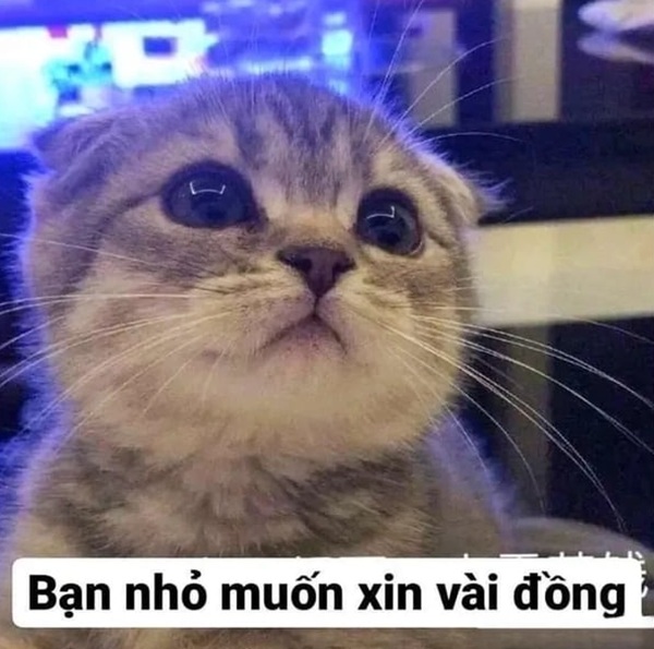 Bộ Sưu Tập 90+ Meme Xin Tiền Hot Nhất - Mẫu bánh kem