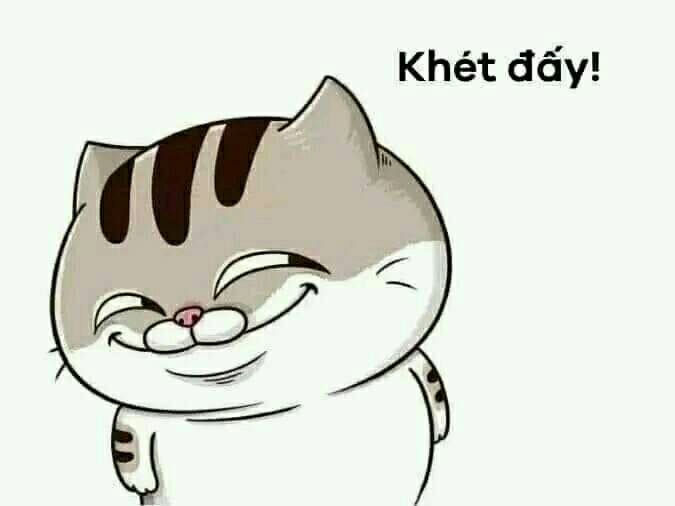 Mèo mỉm cười khen khét đấy