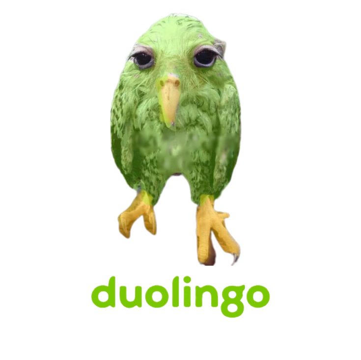 Mỗi Duolingo meme đều mang theo sự sáng tạo và tiếng cười của giới trẻ