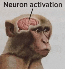 Neuron Gif