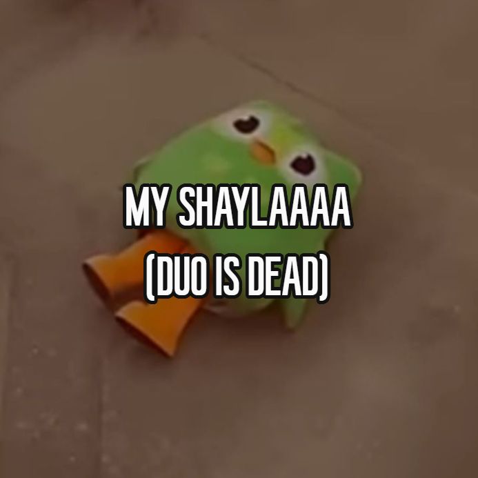 Người trẻ xem Duolingo meme như cách giải trí quen thuộc trong đời sống số