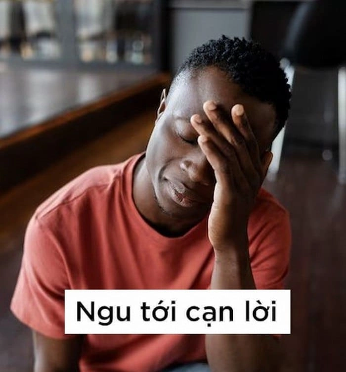 Meme cạn lời trend