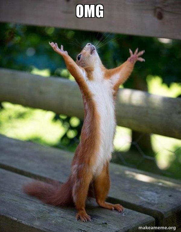 OMG - Happy Squirrel Meme Generator