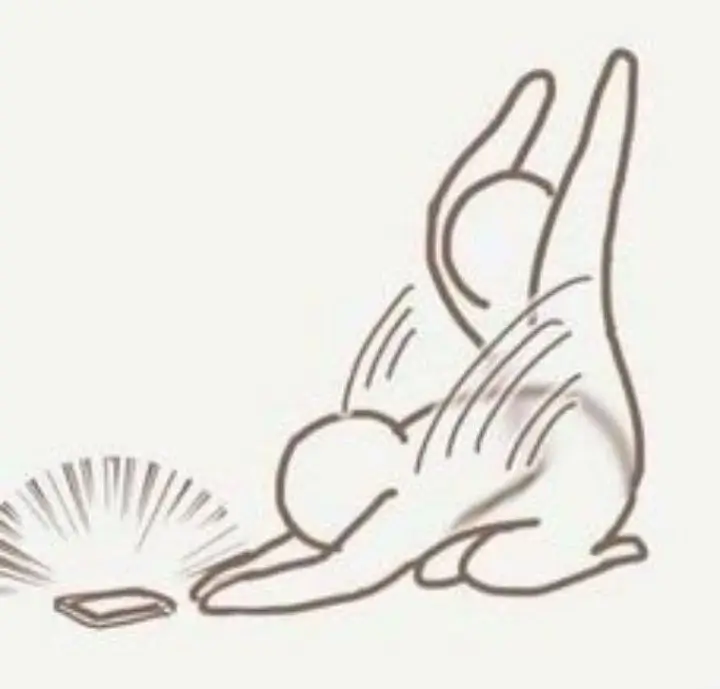 Meme quỳ troll bạn