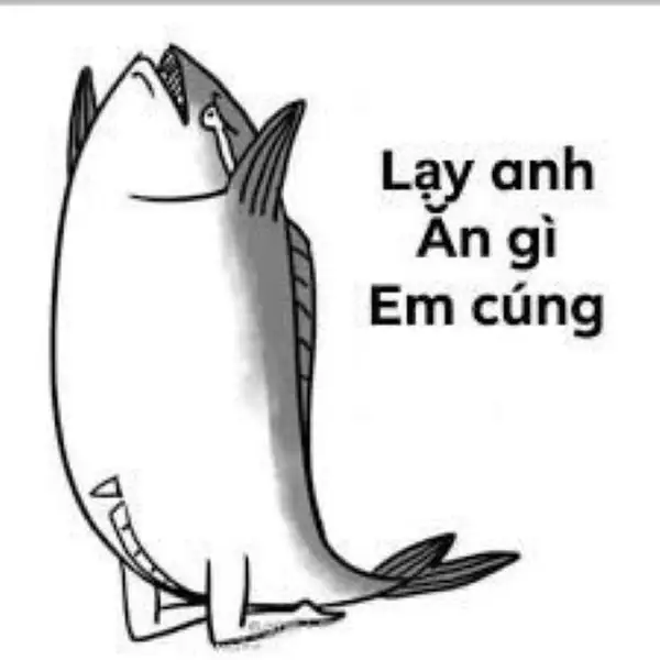Meme lạy anh