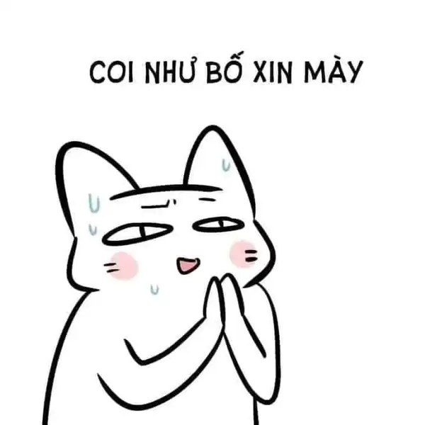 Meme quỳ lạy van xin
