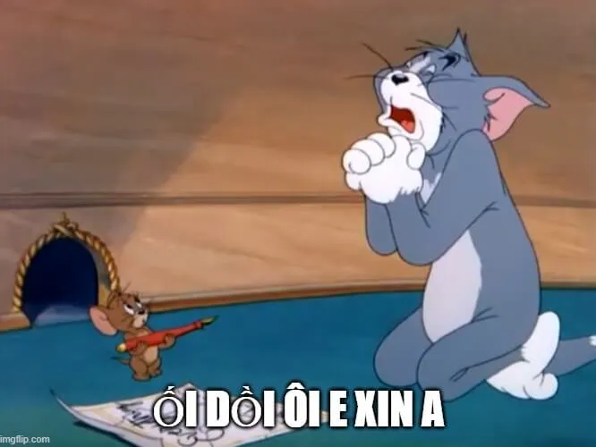 Meme Tom quỳ lạy
