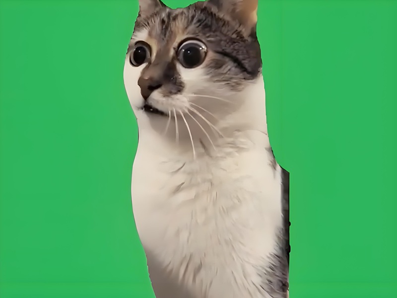 Shock meme horizontal