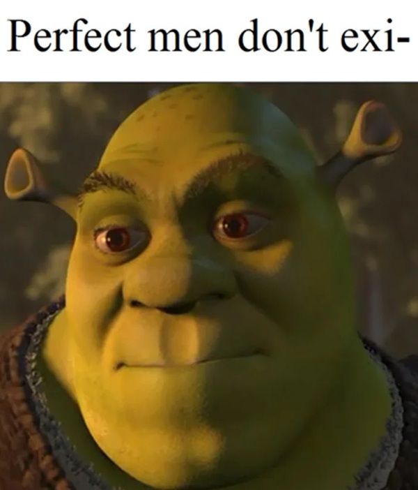 Shrek meme portrait