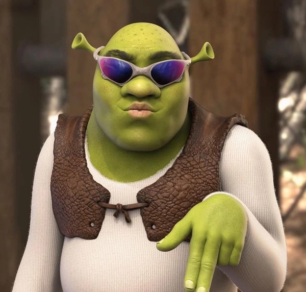 Shrek meme reaction
