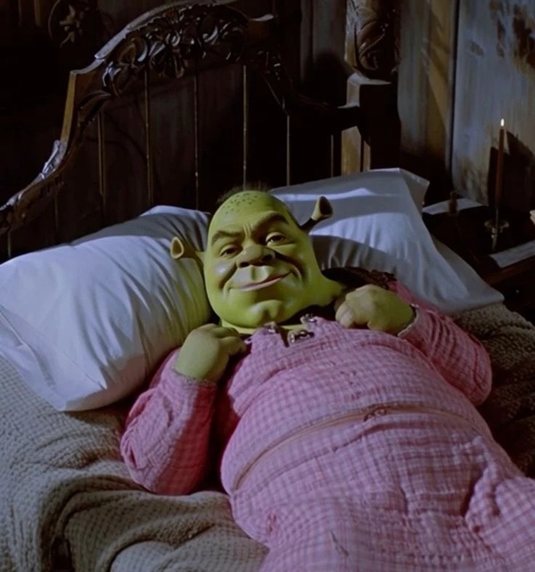 Shrek meme instagram