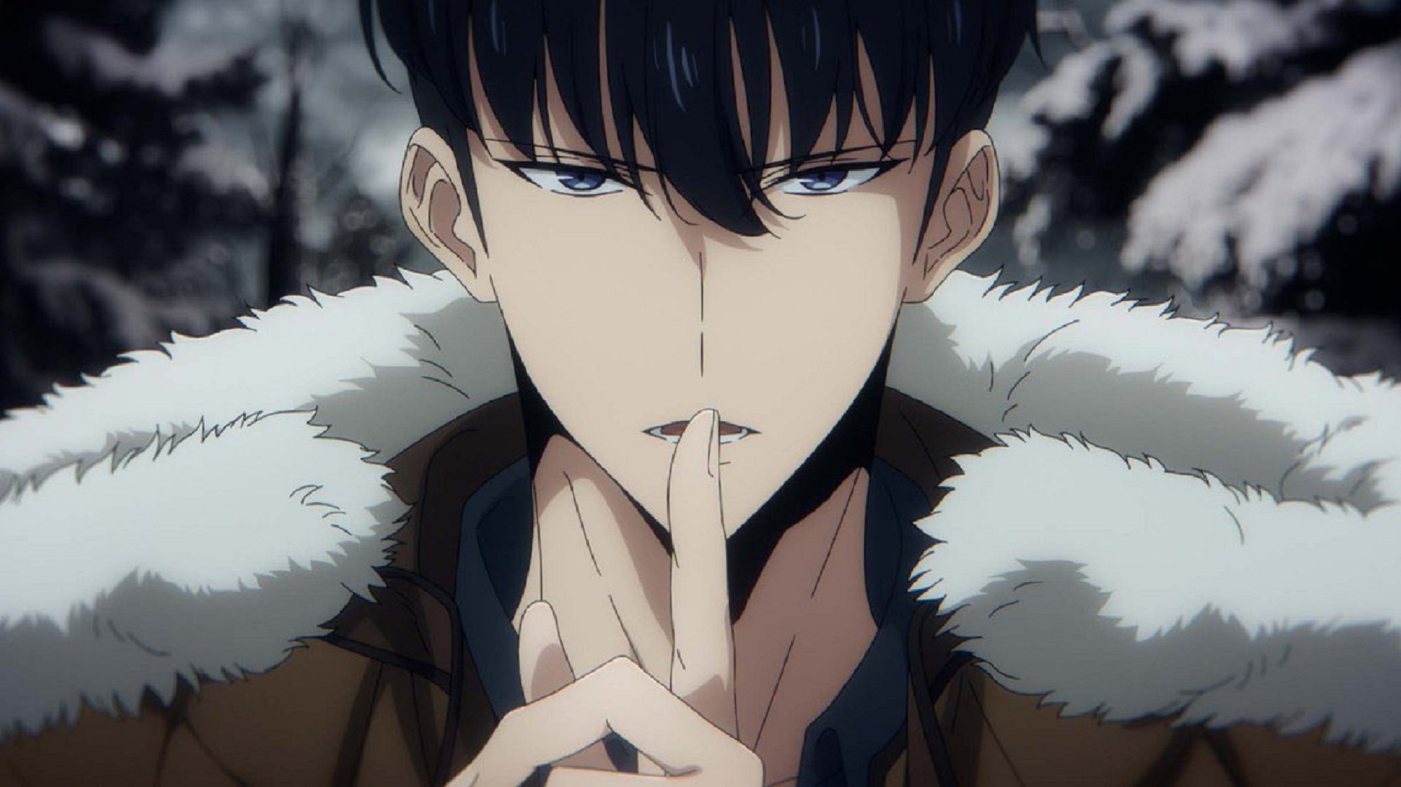 Solo Leveling Sung Jin Woo