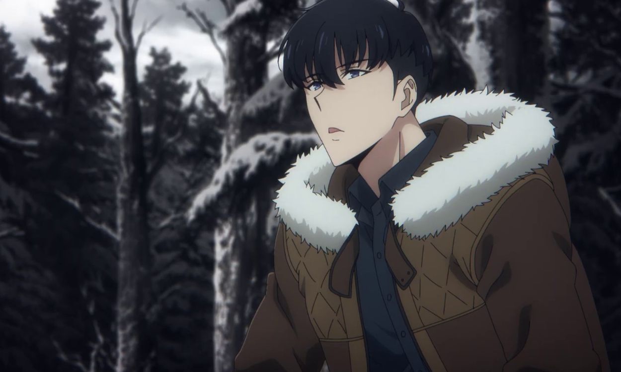 Sung Jin Woo National Level Hunter