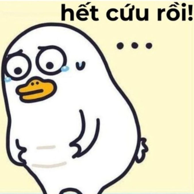 Ảnh meme hết cứu nổi
