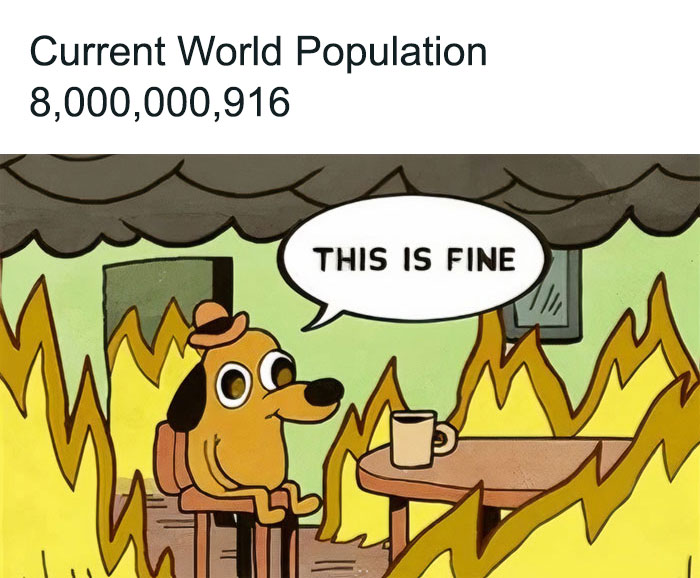 This Is Fine meme viral