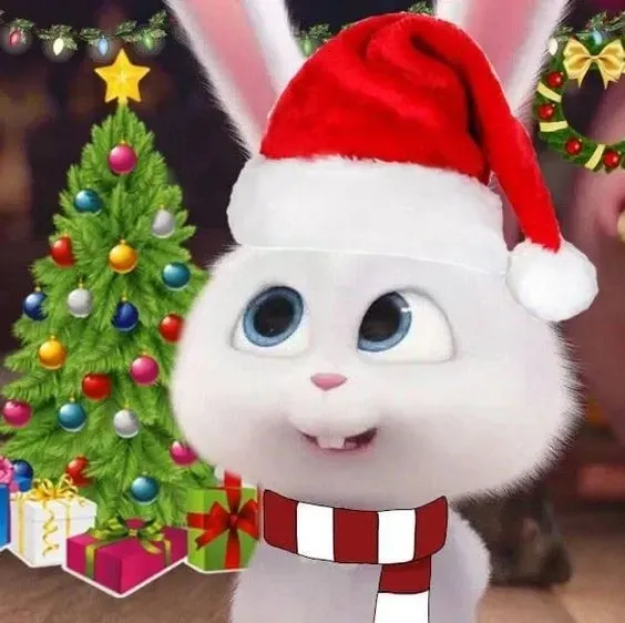 Ảnh Thỏ Snowball Meme hài hước