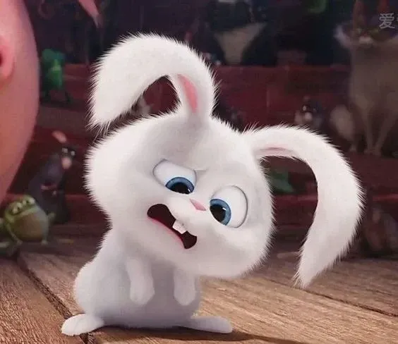 Ảnh Thỏ Snowball Meme dễ thương nhất