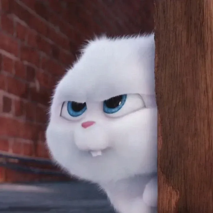 Ảnh Thỏ Snowball Meme cực kỳ dễ thương