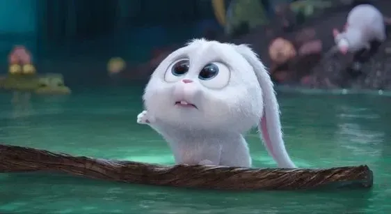 Ảnh Thỏ Snowball Meme cười lăn lộn