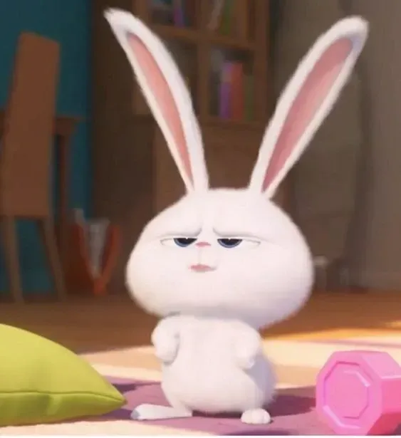Ảnh Thỏ Snowball Meme về cuộc sống