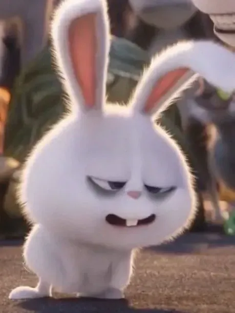 Ảnh Thỏ Snowball Meme cười bể bụng