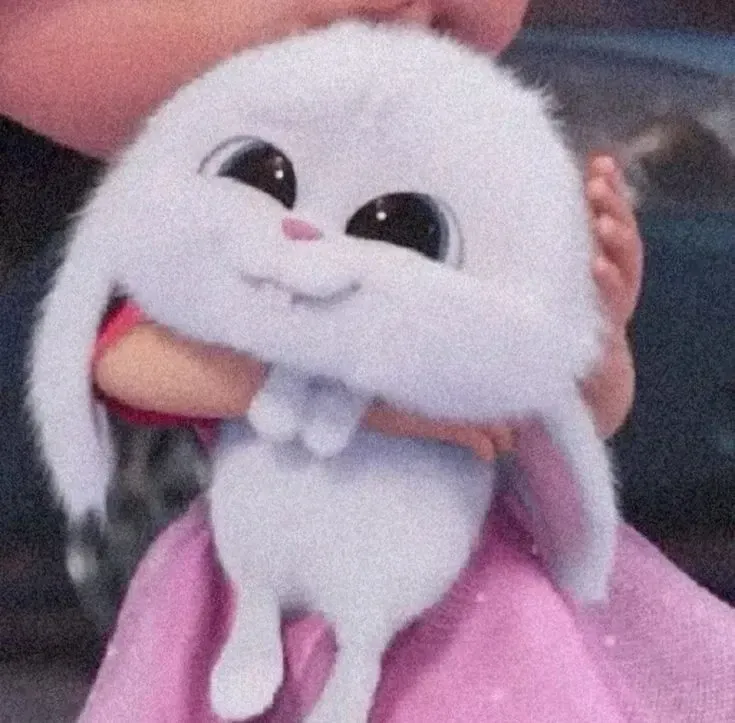 Ảnh Thỏ Snowball Meme gây cười