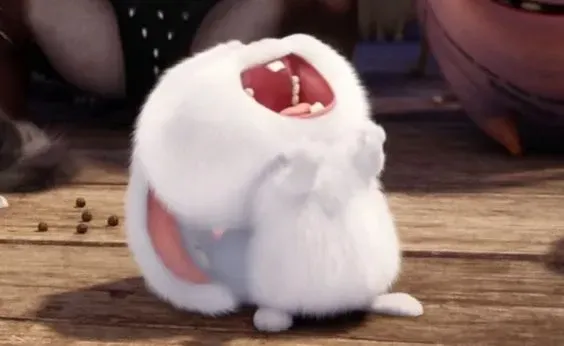 Ảnh Thỏ Snowball Meme với biểu cảm hài hước