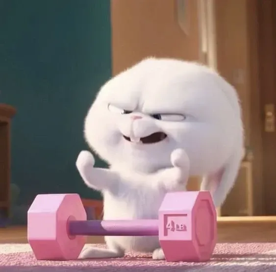 Ảnh Thỏ Snowball Meme nổi tiếng