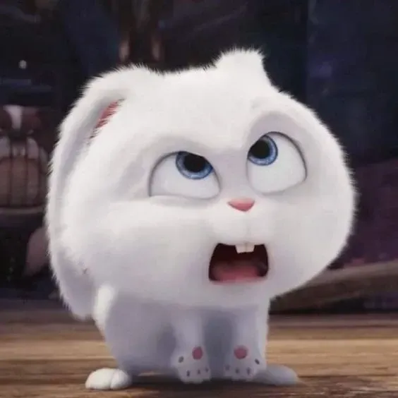 Ảnh Thỏ Snowball Meme vui nhộn cho bạn bè