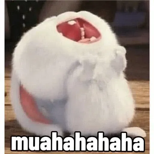 Ảnh Thỏ Snowball Meme cười không ngớt