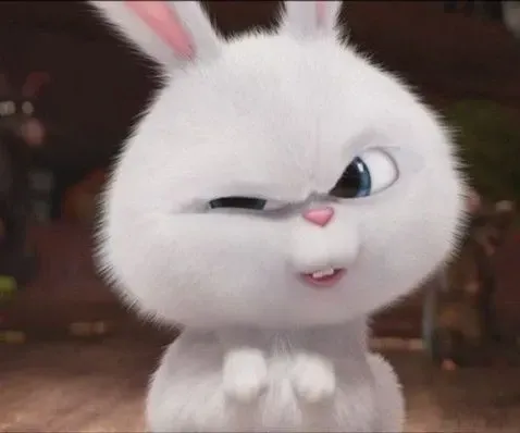 Ảnh Thỏ Snowball Meme với biểu cảm dễ thương