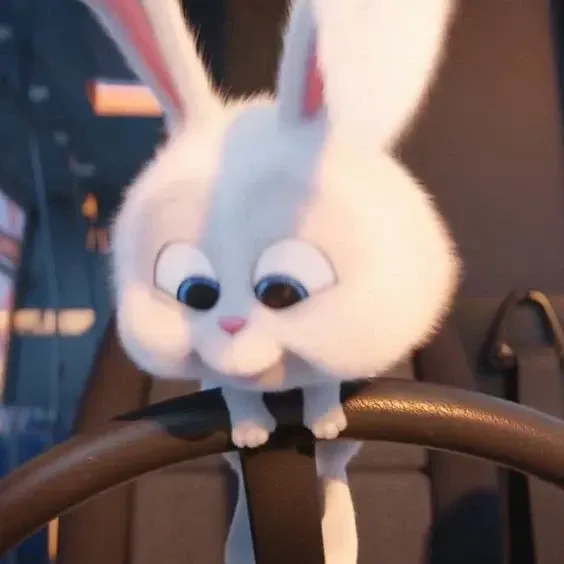 Ảnh Thỏ Snowball Meme dễ thương và ngây thơ