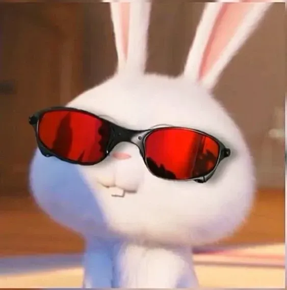 Ảnh Thỏ Snowball Meme dễ thương cho bạn