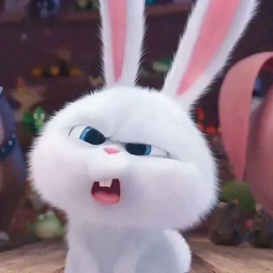 Ảnh Thỏ Snowball Meme hài cực mạnh