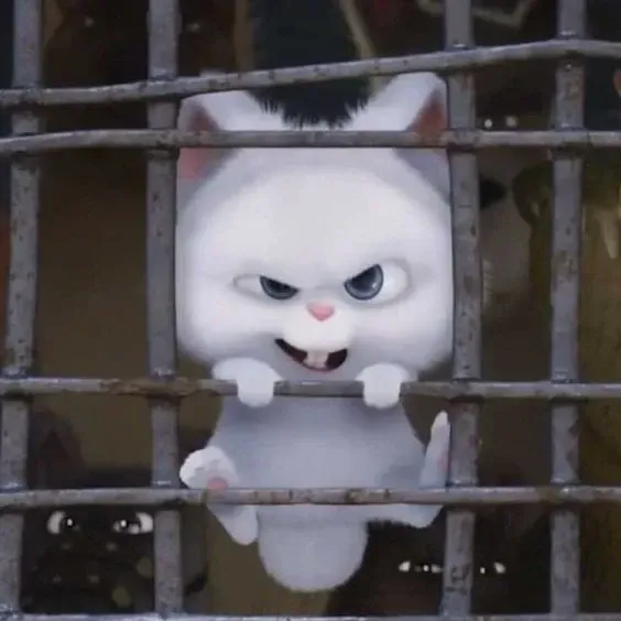 Ảnh Thỏ Snowball Meme cười sảng khoái