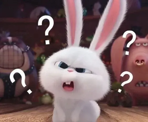 Ảnh Thỏ Snowball Meme đáng yêu trong cuộc sống