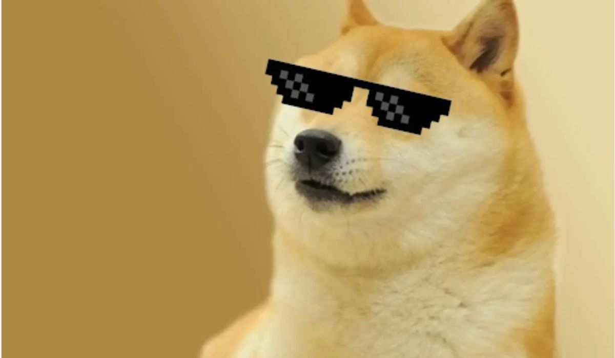 Chó Shiba Meme - Tổng Hợp Những Meme Shiba Nổi Tiếng