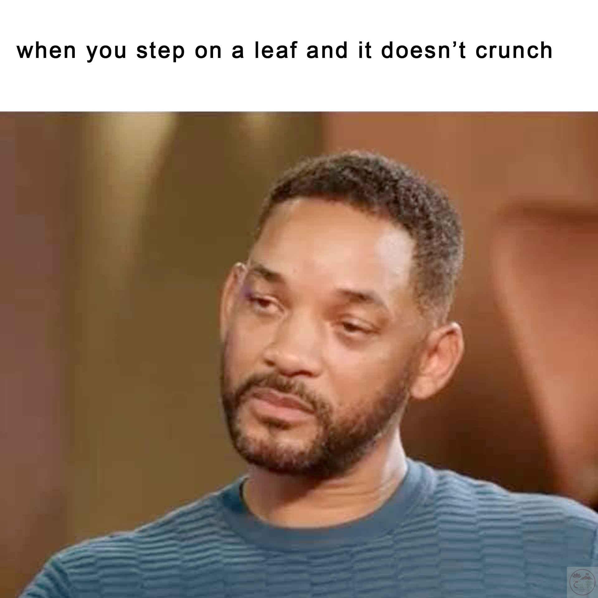 Disappointed man meme