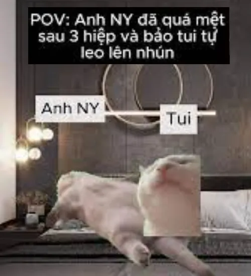 Meme vắt cực khô Meme vắt cực khô viral
